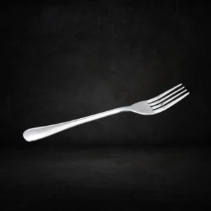 stainless steel fork