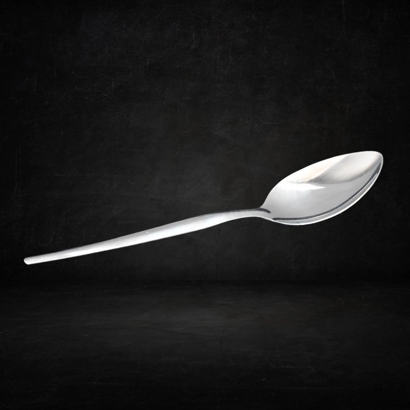 stainless steel serving spoon